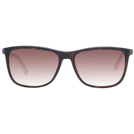Police Brown Acetate & Plastic Sunglasses