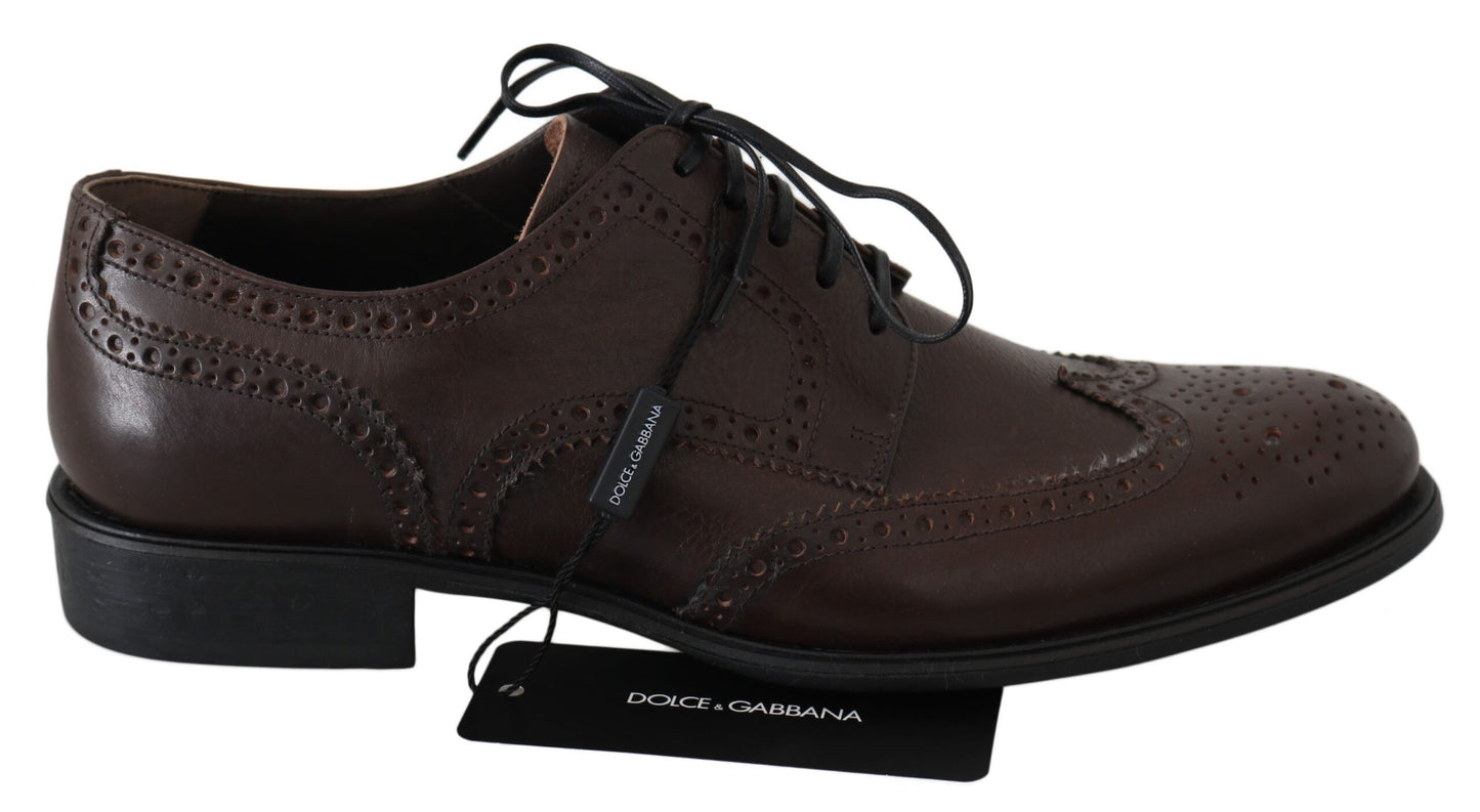 Dolce & Gabbana Brown Leather Brogue Derby Dress Shoes