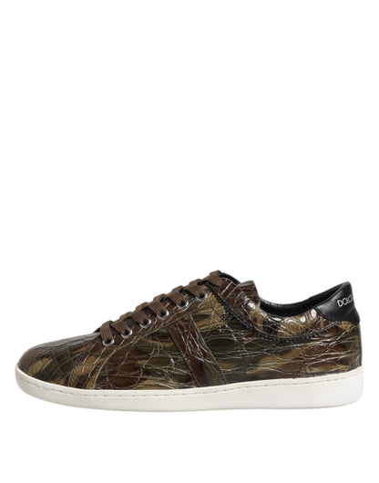 Dolce & Gabbana Brown Exotic Leather Low Top Sneakers Shoes