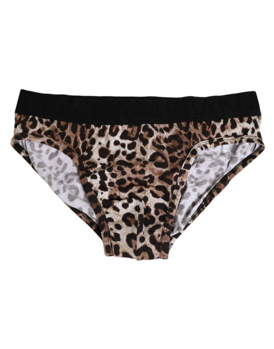 Dolce & Gabbana Brown Cotton Leopard Logo Midi Brief Underwear