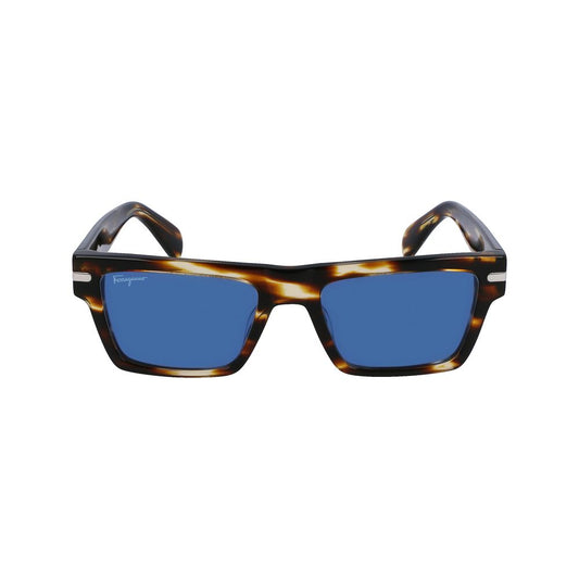 Ferragamo Brown Acetate Sunglasses