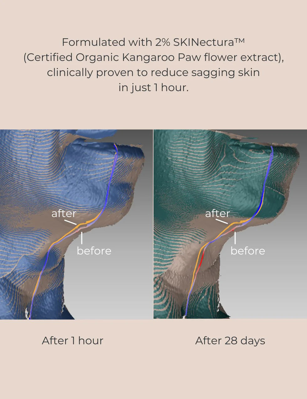 Long-Last Foundation Bundle (Colour):   Trust