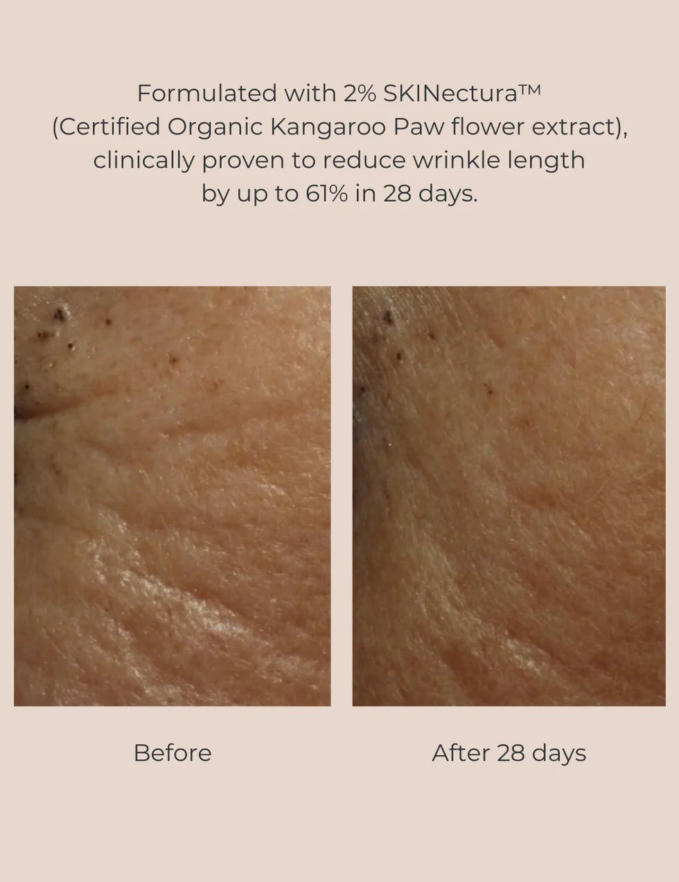 Long-Last Foundation Bundle (Colour):   Trust